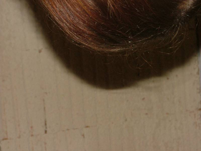 DSCF0408 
