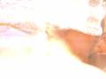 DSCF3728 