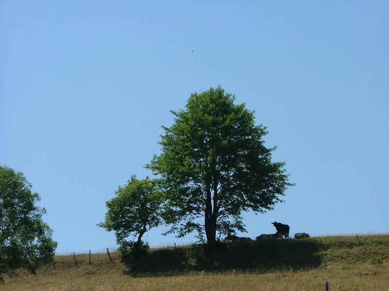 DSCF0630 